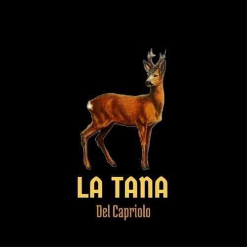 Apartament La Tana Del Capriolo Prati di Tivo Zewnętrze zdjęcie