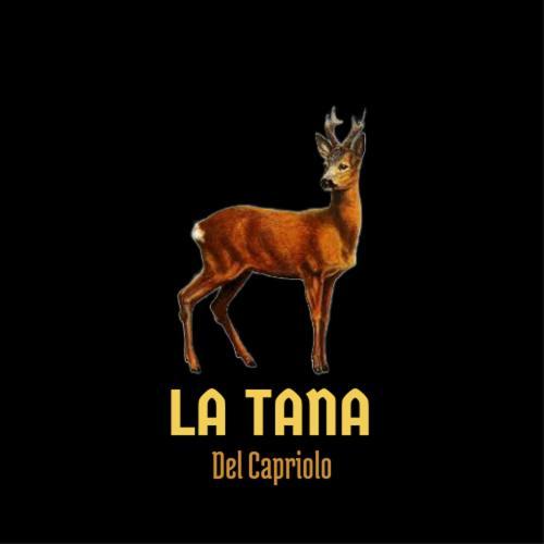 Apartament La Tana Del Capriolo Prati di Tivo Zewnętrze zdjęcie